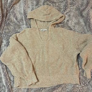 AE Cropped & Hooded Sweater